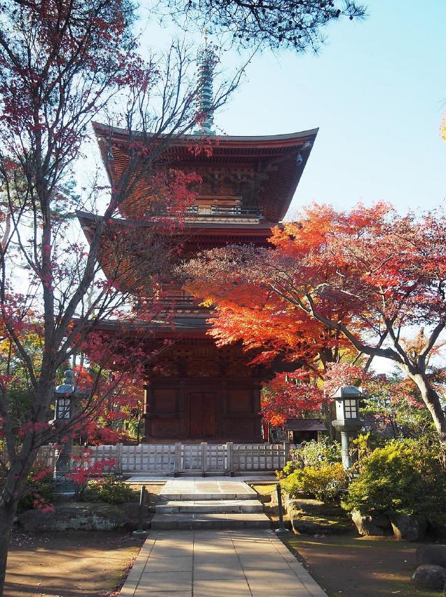 Gotokuji Temple Gotokuji Temple